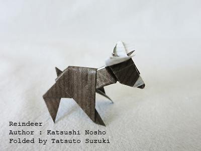 photo Origami Reindeer, Author : Katsushi Nosho, Folded by Tatsuto Suzuki